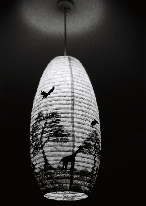 A lit up paper lampshade which shows an African wildlife scene with giraffe and trees