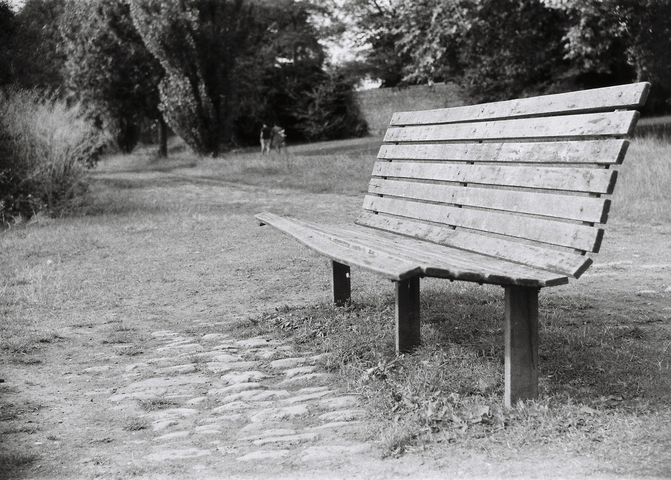 Wooden bench on the river Thames