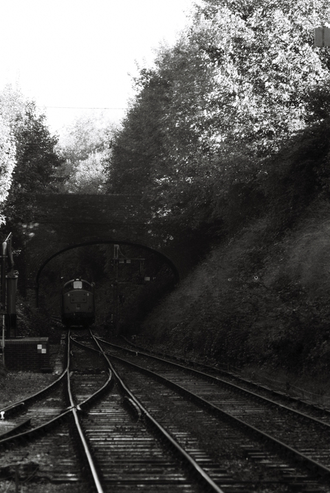 Train passing under a stone arched bridge with trees and a large embankment to the right