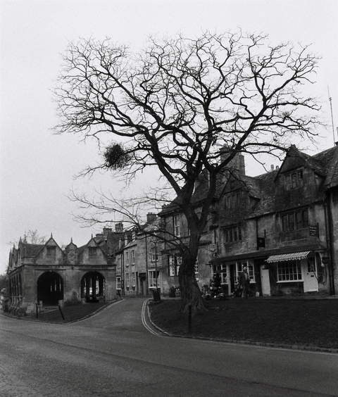 Old English stone market building and traditional houses, with a large leafless tree