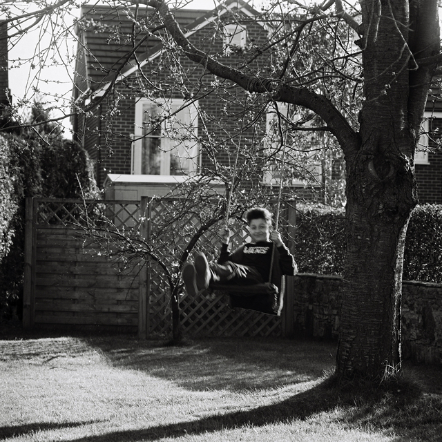 Child in motion on a rope swing suspended from a tree in a back garden