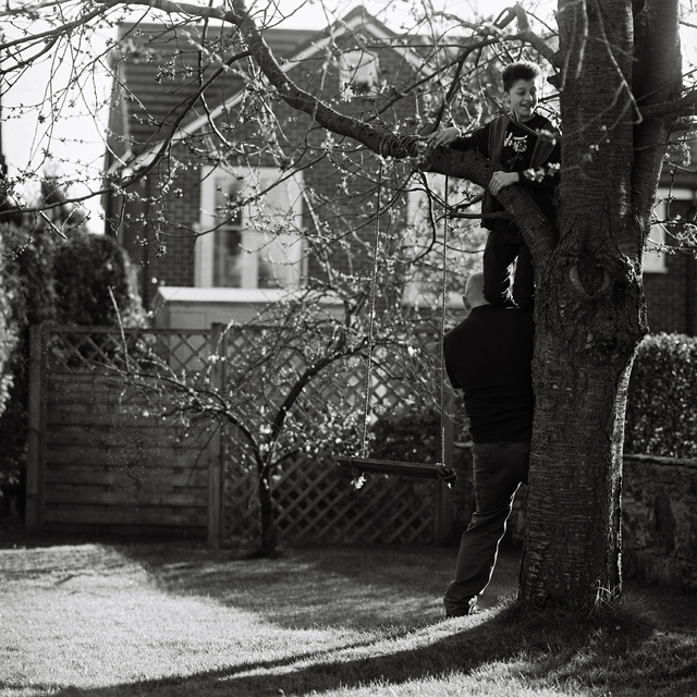 Young boy climbing on the shoulders of his dad to help him climb a tree that has a swing