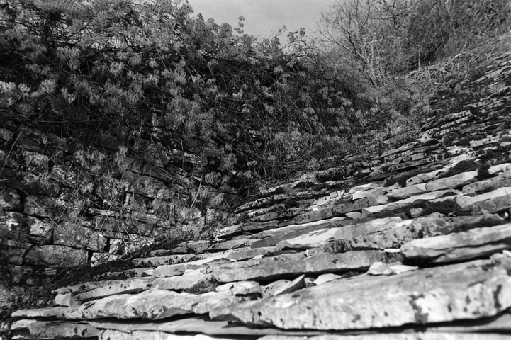 A stone roof with overhanging flowers in Koukouli Zagorohoria