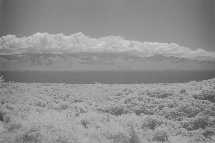 Landscape featuring olive trees, the bay of Messini and the mountain range of Taygetos