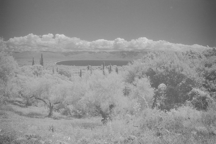 A view down over the Messinian Bay from the mountains above Petalidi with an olive grove in the foreground and the mountain range of Taygetos in the background