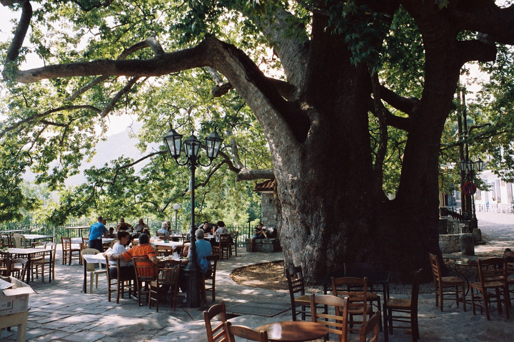 People in the town square of Arna under a large ancient plane tree