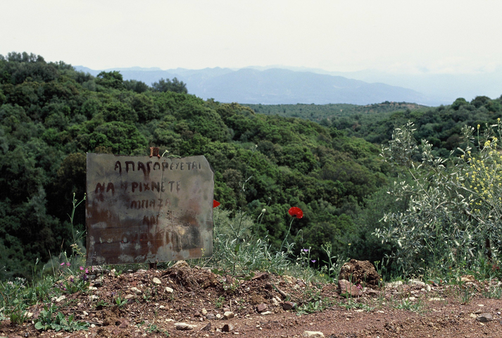 Old metal sign with poppies