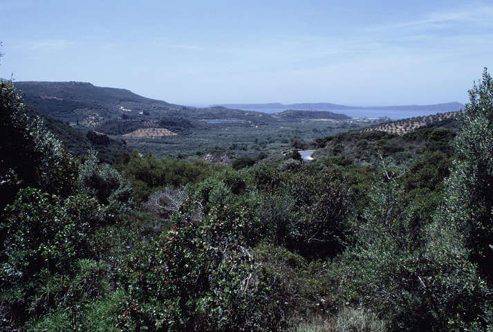 Pilos landscape