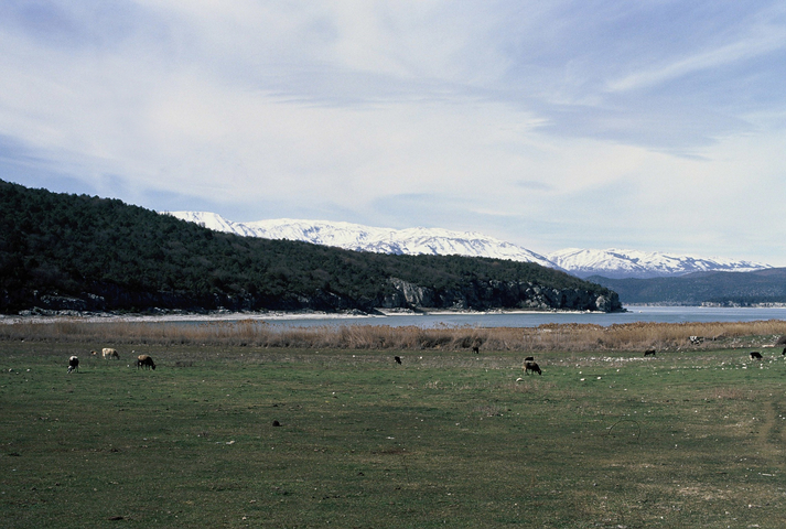 Psarades on Prespa lake with snow topped mountains in the background