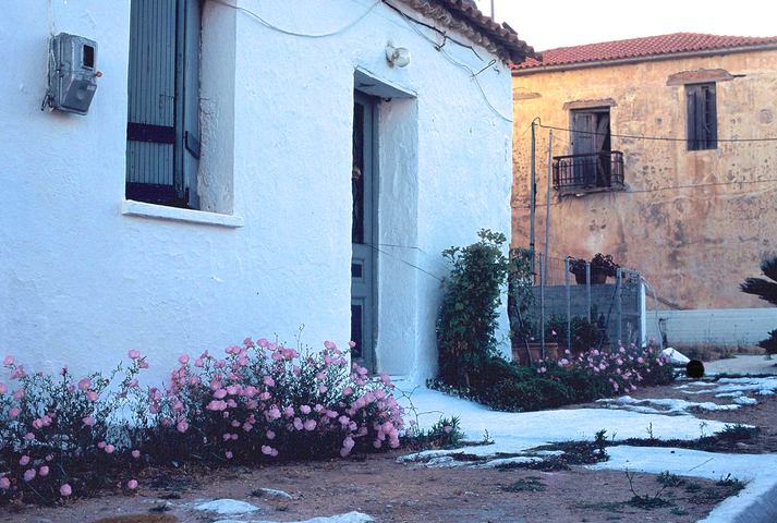 Traditional white painted Greek house with pink flowers infront